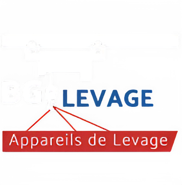 Logo BG Levage